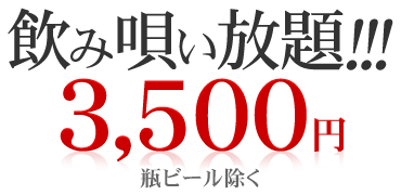 飲み唄い放題 3000円